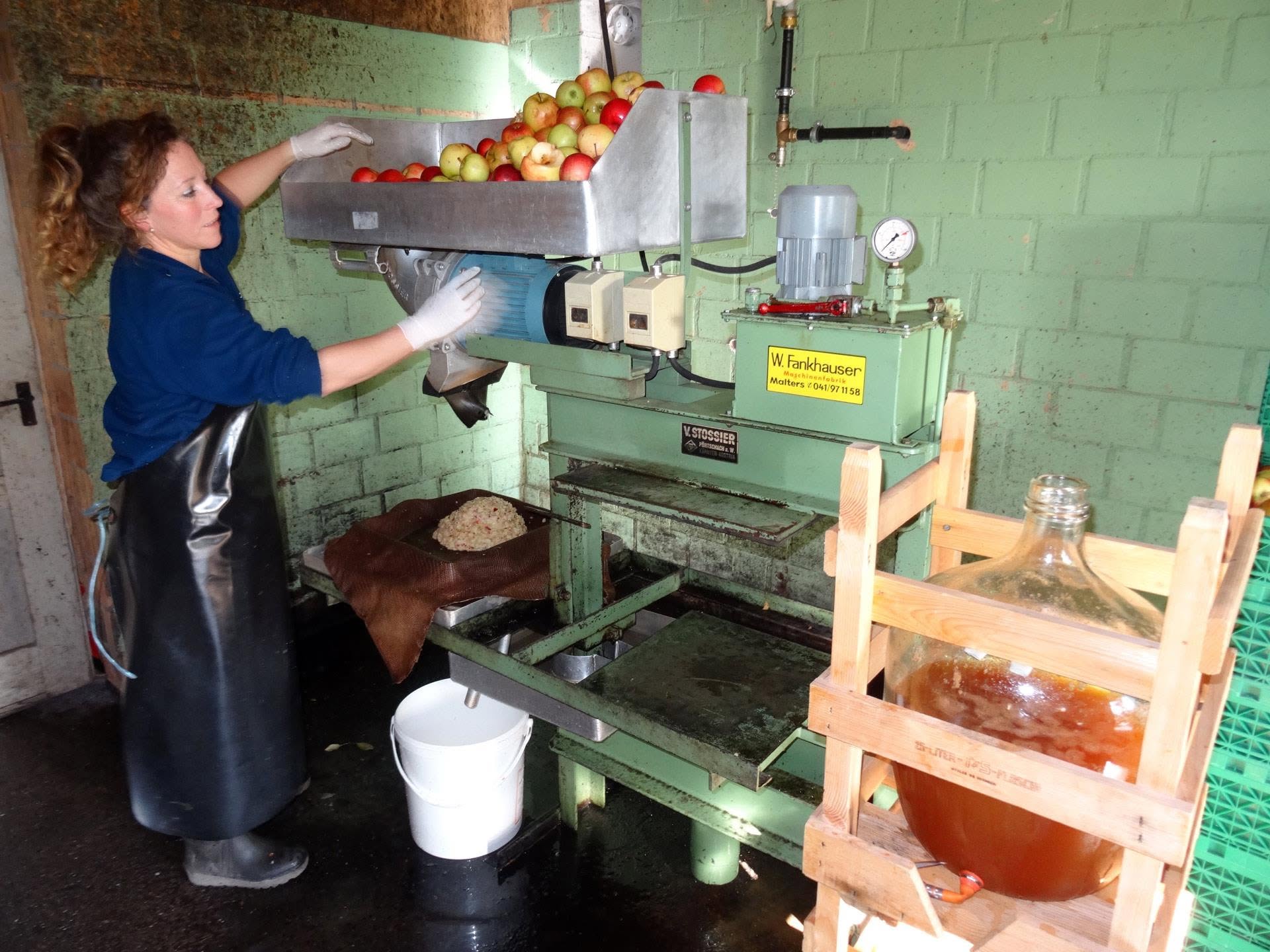 Äpfel werden in der Maschine gehäckselt