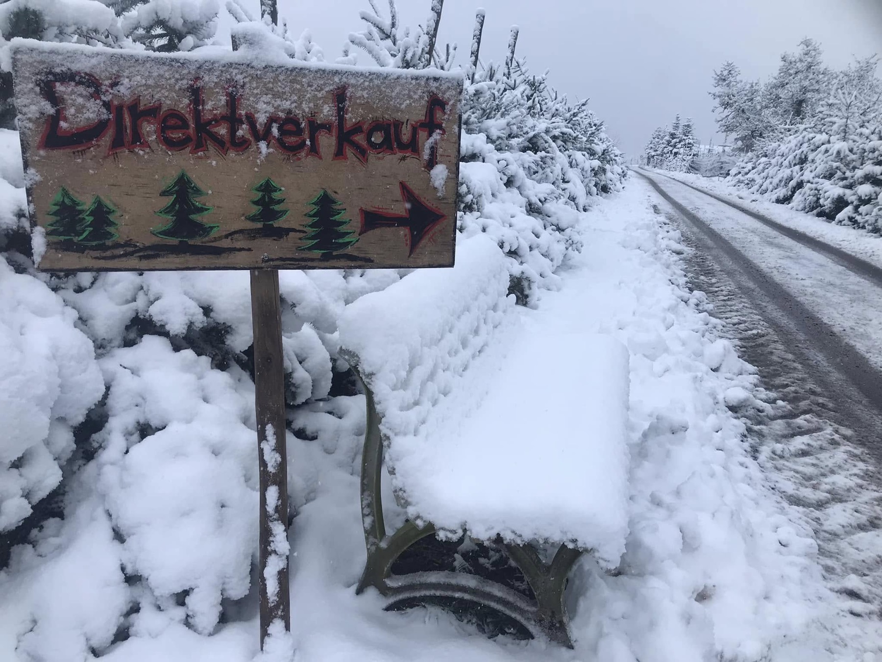 Verschneite Vogelsangstrasse mit Tannenbäumen und Direktverkauf-Schild