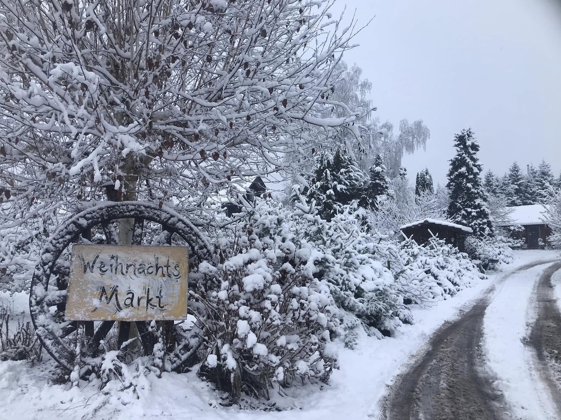 Verschneiter Weg zum Weihnachtsmarkt